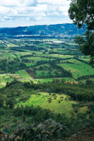 Paisaje del altiplano de la sabana de Bogot.
