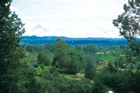 Sector de Llanogrande en el altiplano de Rionegro.