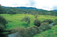 El ro Chico que desciende del pramo de Belmira discurre lentamente a travs del relieve; ms adelante las colinas cubiertas de pastizales para ganadera, se modelan en profundidad.