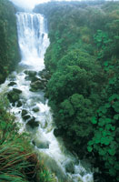 En el Macizo Colombiano nacen los ros ms importantes del pas, por lo cual se denomina 