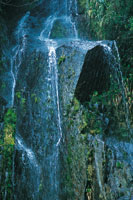 Fuente hdrica sobre rocas volcnicas en el altiplano de Santa Rosa de Osos.