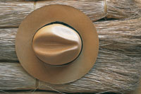 El  fique se ha convertido en un monocultivo que ha desplazado muchos de los productos de consumo domstico; sin embargo, es una de las principales fuentes econmicas de la regin, con l se elaboran diversos productos artesanales o industriales.