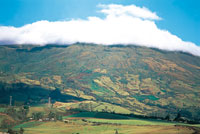 Las faldas del volcn Galeras estn intensamente cultivadas hasta el lmite de los pramos, lo que genera un mosaico heterogneo de diversos tipos de cultivos, plantaciones forestales y en forma cada vez ms reducida, bosques naturales que se conservan en