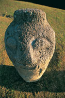 Cabeza tallada en roca grantica, Parque Arqueolgico de San Agustn, Huila.