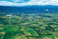 Paisaje de planicie con pastos mejorados, dedicados a la ganadera altamente tecnificada.