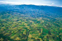 El altiplano de Tunja-Sogamoso presenta un extenso mosaico agrcola dedicado principalmente al cultivo de papa. Una estrategia de restauracin del paisaje debera estar orientada a la recuperacin de los bosques riparios y a la formacin de corredores bio