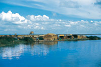 En el lago Titicaca la totora tiene una diversidad de usos; entre ellos, la construccin de viviendas.