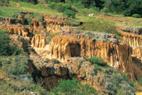 Degradacin de los suelos en los enclaves secos de la sabana de Bogot.