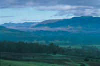 Paisaje del altiplano de la Sabana de Bogot, cubierto por neblinas.