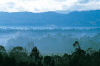 Efecto de las bajas temperaturas al amanecer en el altiplano.