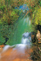 El sistema hdrico del altiplano se alimenta de numerosas fuentes que nacen en los pramos circundantes y en un corto trayecto aportan sus aguas a los humedales y finalmente al ro Bogot.