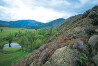 Los escarpes rocosos presentan una vegetacin xerfila especialmente adaptada a las condiciones de sequa del sustrato.