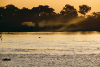Perfil de la selva a orillas del ro Amazonas, en cercanas de Leticia.