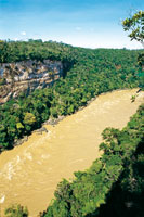 El ro Caquet, a su paso por el can del  Araracuara, lleva un alto contenido  de limo y nutrientes aportados por la cordillera andina.