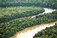 En algunas zonas de la Amazonia corren ros de aguas blancas cerca de otros de aguas negras.