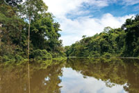 Igap formado por las aguas del cao Tarapoto.