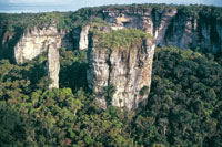 Sector de la serrana de Chiribiquete profundamente erosionado. En los valles la acumulacin de suelos permite el desarrollo de una selva alta y densa. 
