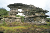 Formaciones rocosas erosionadas por el agua y el viento, con escasa cobertura de lquenes, bromelias y gramneas, en la serrana de La Lindosa, al suroriente de San Jos del Guaviare.
