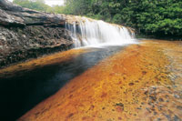 Las aguas cristalinas de los ros erosionan la roca.
