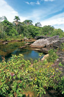 Los caos y ros en la serrana de La Macarena presentan aguas cristalinas y poco profundas. La vegetacin de sus riberas cumple una funcin importante por su aporte de materia orgnica que sirve de alimento para la fauna acutica