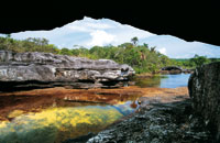 La fuerza erosiva del agua ha labrado en la arenisca cuarctica grandes cavernas y formas circulares de remansos con fondo de arenas blancas. La Macarenia clavigera crece bajo la corriente de aguas oxigenadas y embellece el cao Cristales con sus cambios