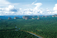El complejo de torretas y mesas de la serrana de Chiribiquete es una formacin extraordinaria que emerge en la exuberancia de la selva lluviosa tropical de la Amazonia colombiana. A causa de la erosin, slo quedan tepuyes aislados de lo que en el pasado
