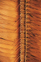 Los techos de las malocas son elaborados en palma de caran, Lepidocaryum tenue. La tcnica del tejido se trasmite de generacin en generacin.