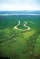 En Colombia, la selva de transicin Orinoquia-Amazonia presenta diversidad de ambientes en un mosaico de selvas y sabanas cuyo verano es ms prolongado -de 2 a 3 meses-, que el que se presenta en el interior de la selva amaznica.