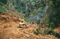 La apertura de vas mediante el uso de maquinaria pesada produce grandes impactos en la estructura y el equilibrio de las selvas; al estimular la colonizacin, propicia la degradacin de su rea de influencia.