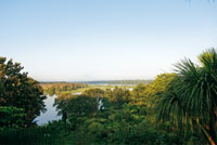 Llanura aluvial de inundacin en el cao Tarapoto, bajo la niebla del amanecer.

