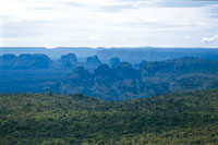Durante el Pleistoceno parte de la biota amaznica se refugi en las cimas de las mesetas del Escudo de Guayana, como la serrana de Chiribiquete en Colombia.