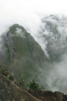La Amazonia, una fbrica permanente de agua, produce y evapora millones de litros, que en forma de nubes, son transportados por los vientos hacia las montaas donde descargan lluvias torrenciales en un ciclo permanente.