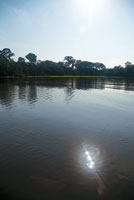 Calma en las profundas y misteriosas aguas negras del lago Tarapoto.