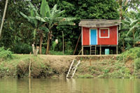Vivienda afro en la ribera del ro Anchicay.