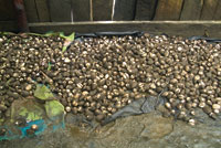 El producto de una jornada de recoleccin.