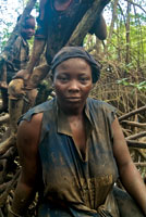 En los manglares del Pacfico colombiano, la recoleccin de mariscos es una actividad tradicionalmente practicada por las mujeres y los nios.