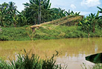 La atarraya, el trasmallo, el boliche y el chinchorro son las artes de pesca ms utilizadas en las lagunas costeras y en los estuarios de Colombia.
