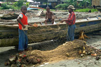 La atarraya, el trasmallo, el boliche y el chinchorro son las artes de pesca ms utilizadas en las lagunas costeras y en los estuarios de Colombia.