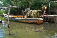 La atarraya, el trasmallo, el boliche y el chinchorro son las artes de pesca ms utilizadas en las lagunas costeras y en los estuarios de Colombia.