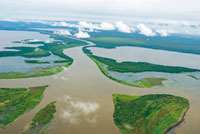Uno de los distributarios del ro Atrato se trifurca antes de desembocar en el Golfo de Urab y forma un caracterstico delta con forma de pie de ave.