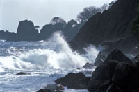 El litoral noroccidental del Golfo de Urab est formado por acantilados rocosos.