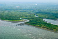 En la mitad sur del Pacfico colombiano predominan las llanuras aluviales y los esteros.
