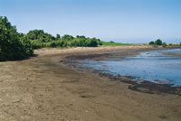 Los sedimentos descargados por el ro se distribuyen por la costa formando amplias playas.