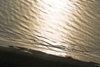 La interfase ocano-tierra es una de las zonas ms afectadas por las actividades humanas y el cambio climtico.