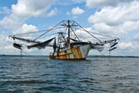 La industria pesquera mundial dependiente de los recursos estuarinos es uno de los sectores que se ver afectado por el cambio climtico global.