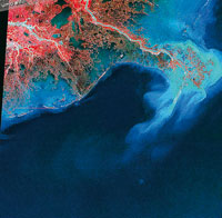 Como lo muestran estas imgenes satelitales, tomadas en 1976 y 2001, la morfologa del delta del ro Mississippi experiment cambios significativos durante las tres ltimas dcadas.