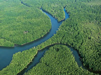 Los canales de marea van conformando laberintos en el plano deltaico.