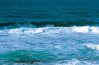 Las olas liberan su energa cuando rompen en la costa.