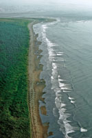 Cuando rompen las olas, su energa produce la llamada corriente de deriva litoral, en sentido paralelo a la lnea de costa.
