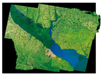 Delta del Paran, que desemboca en el estuario del ro de La Plata.